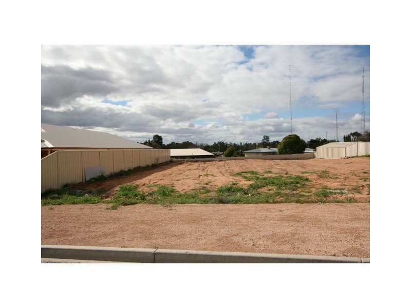 41a Mary Starr Drive, Waikerie SA 5330