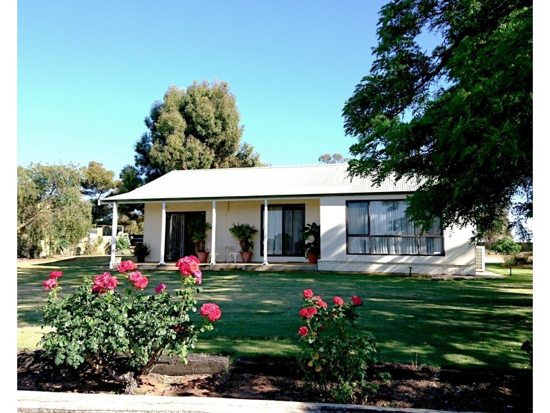 79 Checker Road, Waikerie SA 5330