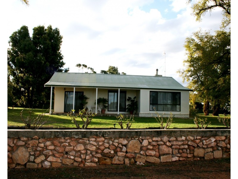 79 Checker Road, Waikerie SA 5330