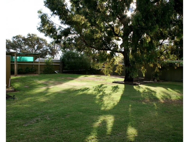 79 Checker Road, Waikerie SA 5330