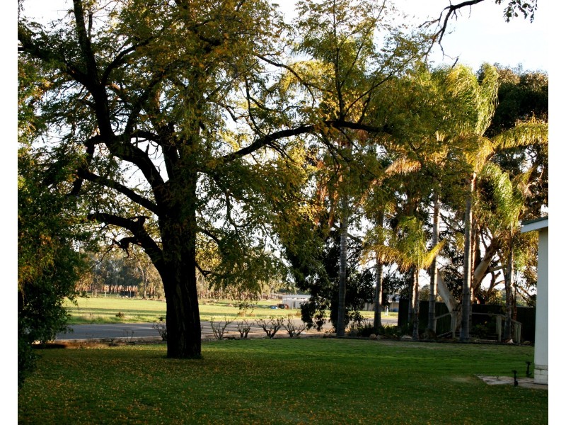 79 Checker Road, Waikerie SA 5330