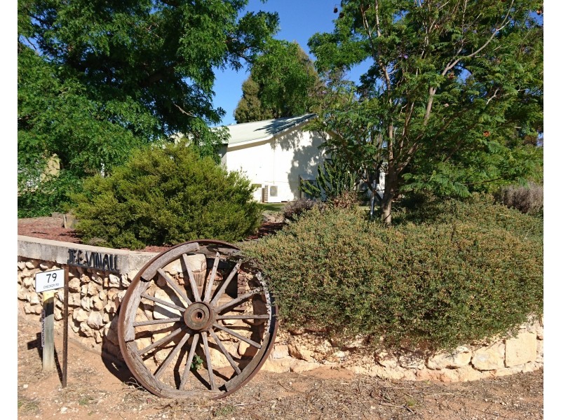 79 Checker Road, Waikerie SA 5330