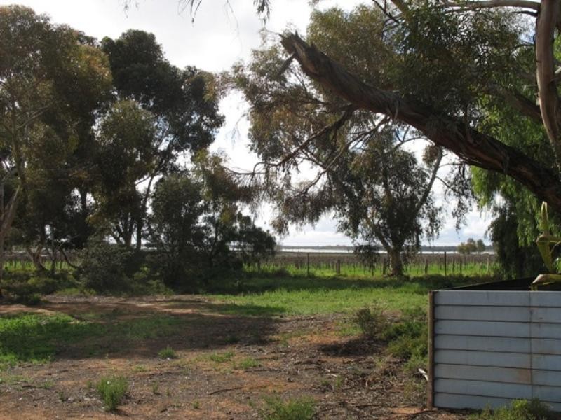 Sec 828 Sturt Highway, Barmera SA 5345