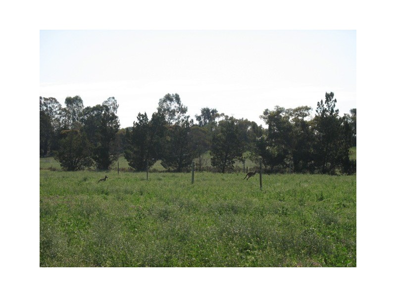 Sec 526 Bassham Road, Loveday SA 5345