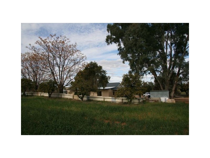 Lot 100 Newton Road, Loxton SA 5333
