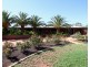 210 Battams Road, Glossop SA 5344