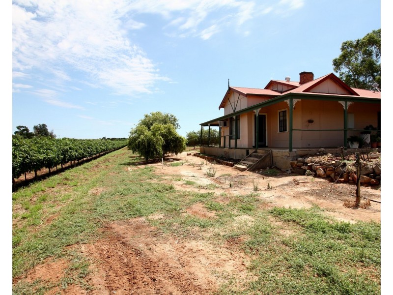 121 Morey Road, Glossop SA 5344