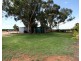 121 Morey Road, Glossop SA 5344