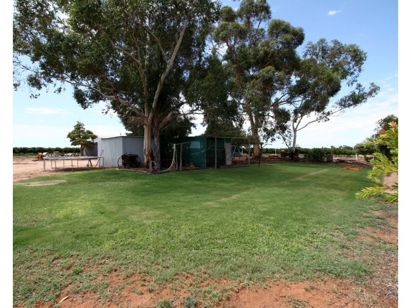 121 Morey Road, Glossop SA 5344