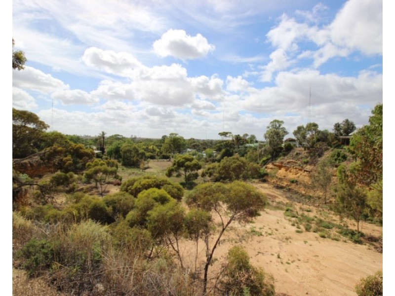 20 Meade Street, Blanchetown SA 5357