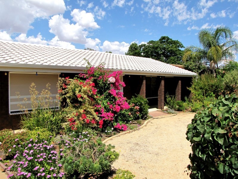 125 Bookpurnong Terrace, Loxton SA 5333