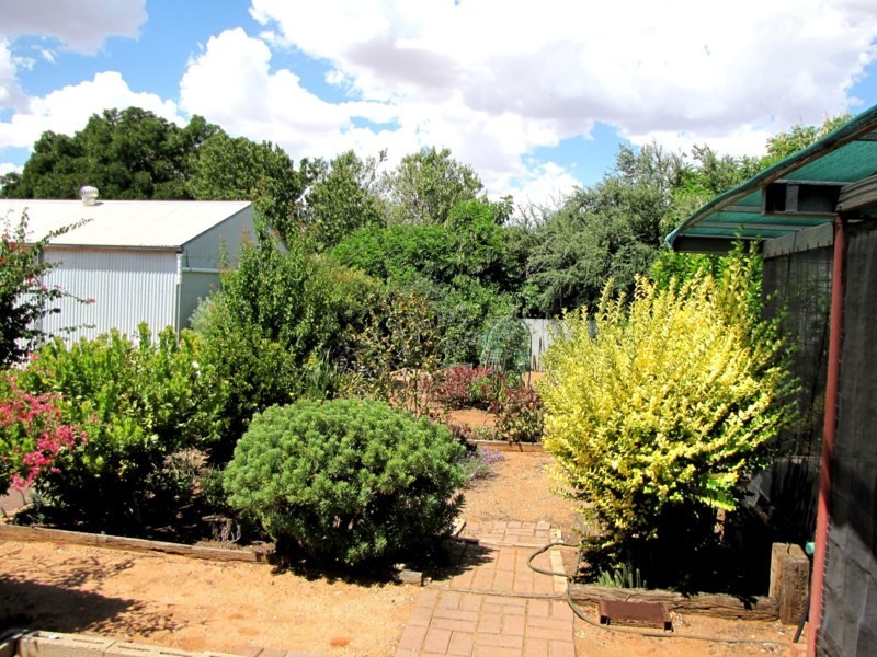 125 Bookpurnong Terrace, Loxton SA 5333