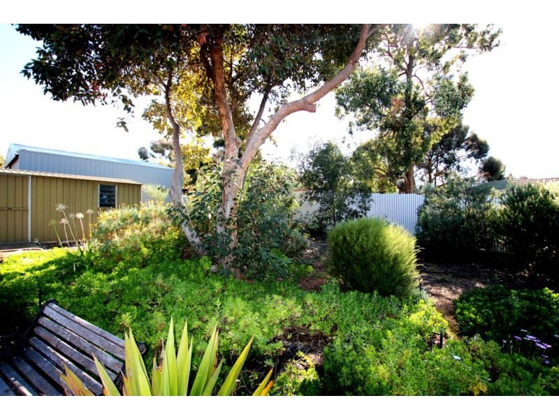 4 Vivian Cock Street, Berri SA 5343