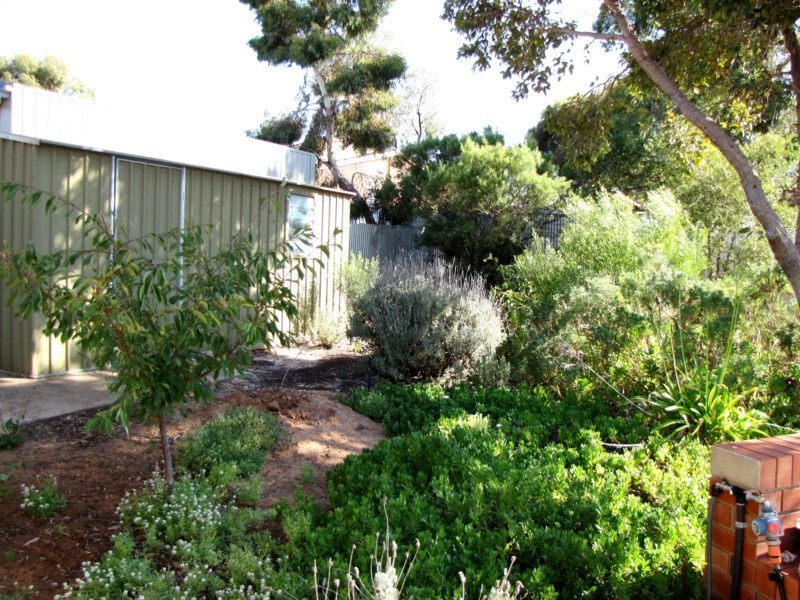 4 Vivian Cock Street, Berri SA 5343