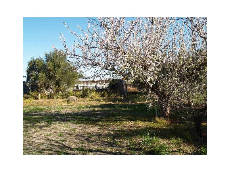 Lot 50 Vasey Road, Waikerie SA 5330
