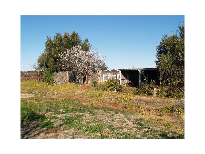 Lot 50 Vasey Road, Waikerie SA 5330