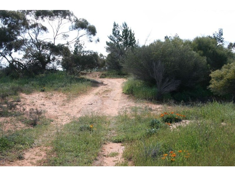 Lot 48 wheatley Road, Loxton SA 5333