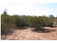 Lot 48 wheatley Road, Loxton SA 5333