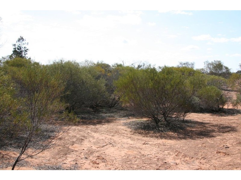 Lot 48 wheatley Road, Loxton SA 5333