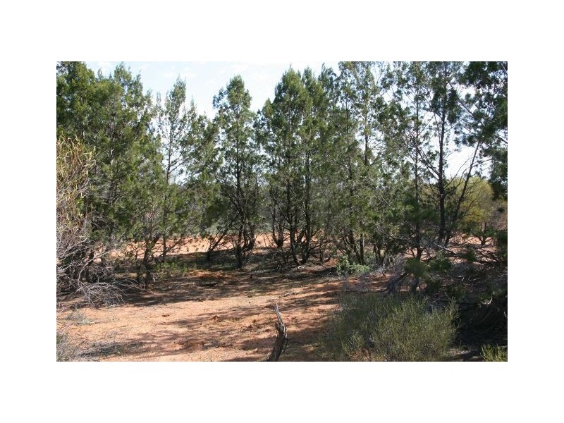 Lot 48 wheatley Road, Loxton SA 5333