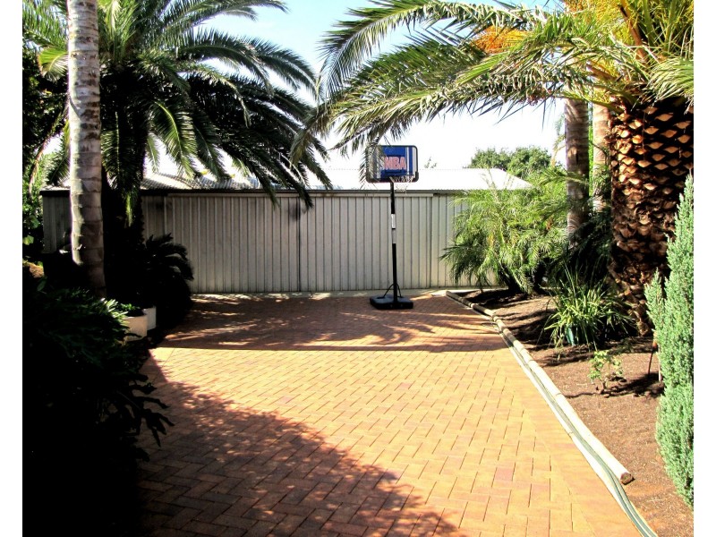 17 Laffer Street, Loxton SA 5333