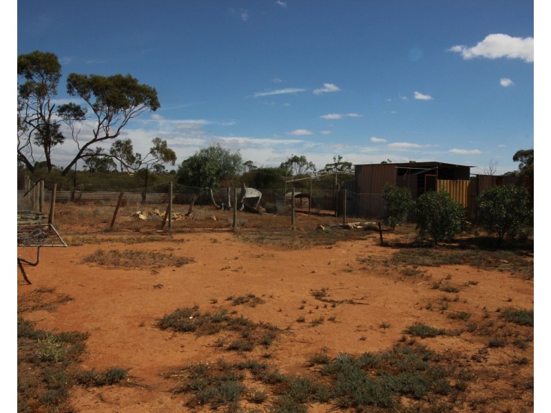 11346 Thiele Highway, Morgan SA 5320