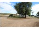 283 Playford Road, Waikerie SA 5330