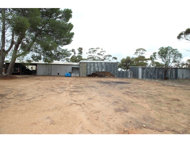 395 Mackintosh Road, Cadell SA 5321