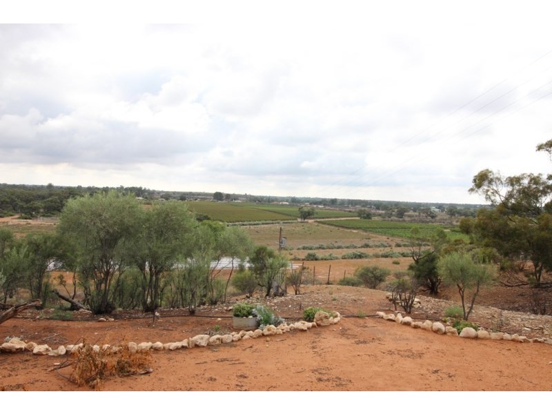 395 Mackintosh Road, Cadell SA 5321