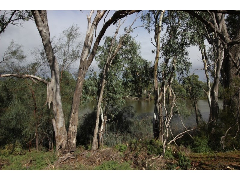 128 Hartwig Road, Taylorville SA 5330