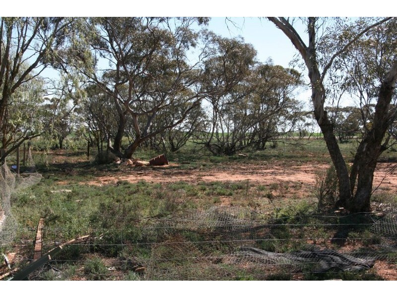 Section 78 Railway Terrace, Wunkar SA 5311