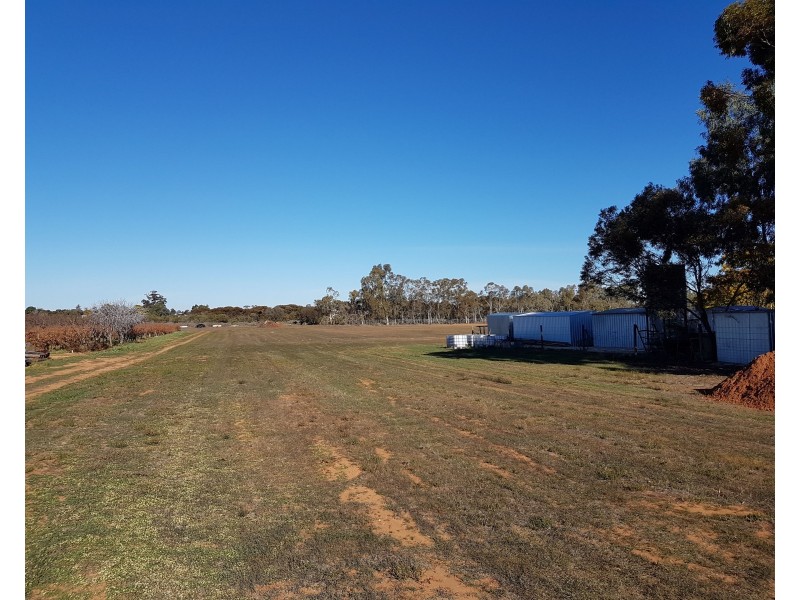 13 Maple Street, Barmera SA 5345