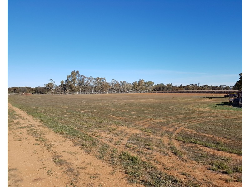 13 Maple Street, Barmera SA 5345