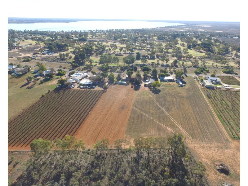 13 Maple Street, Barmera SA 5345