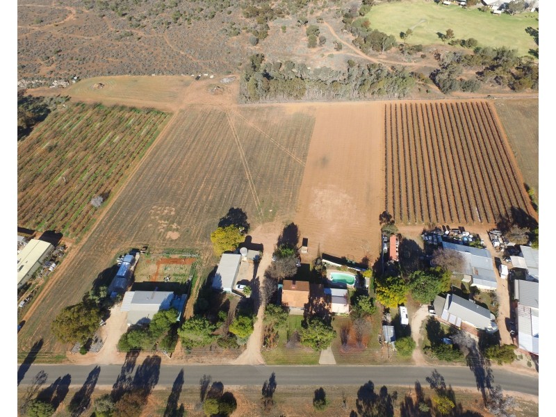13 Maple Street, Barmera SA 5345