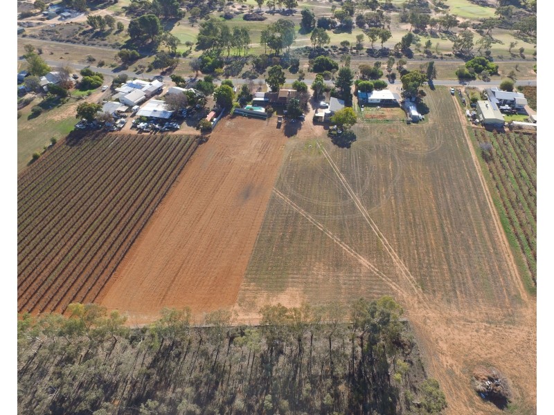 13 Maple Street, Barmera SA 5345