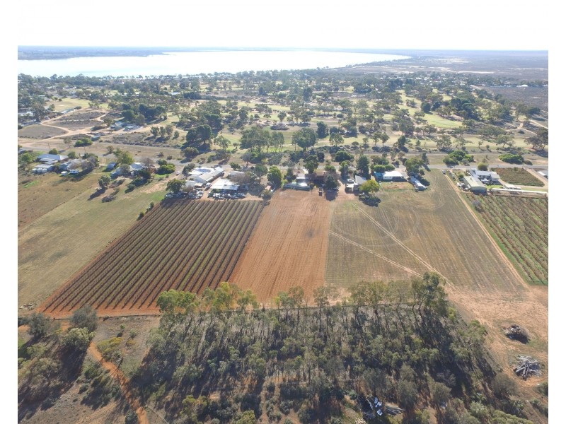 13 Maple Street, Barmera SA 5345