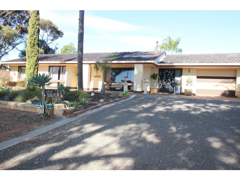 12980 Sturt Highway, Waikerie SA 5330