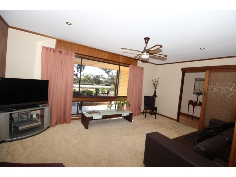 12980 Sturt Highway, Waikerie SA 5330