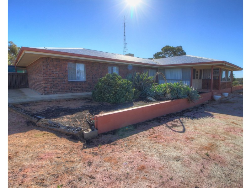 394 Winkie Road, Winkie SA 5343
