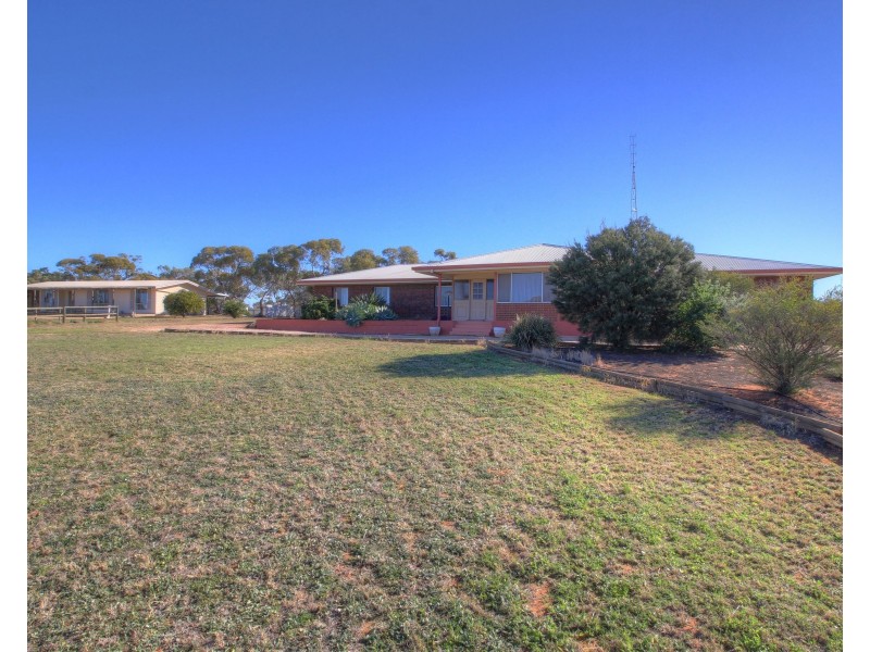 394 Winkie Road, Winkie SA 5343