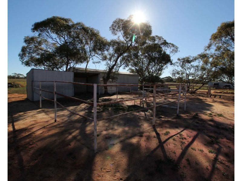 394 Winkie Road, Winkie SA 5343