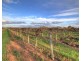 181 Lower Winkie Road, Glossop SA 5344