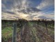 181 Lower Winkie Road, Glossop SA 5344