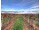 181 Lower Winkie Road, Glossop SA 5344