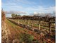 181 Lower Winkie Road, Glossop SA 5344