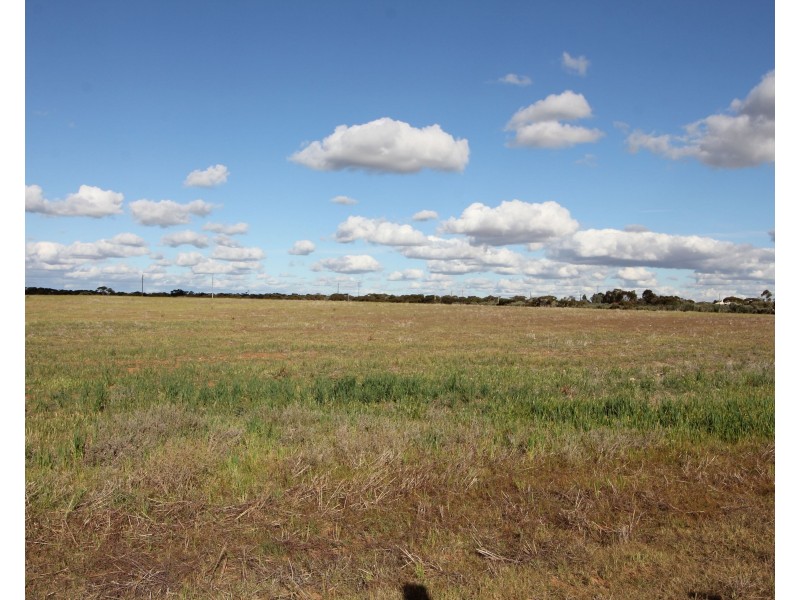 Lot 40/115 Bigg Road, Monash SA 5342