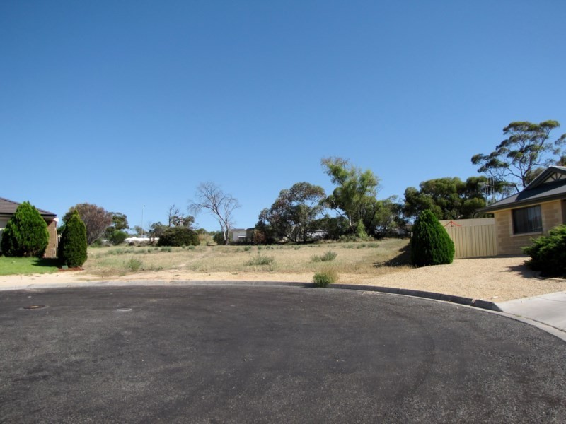 51 McLean Street, Berri SA 5343