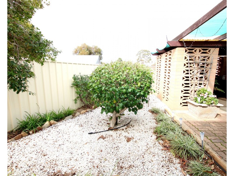 18 Scott Avenue, Barmera SA 5345