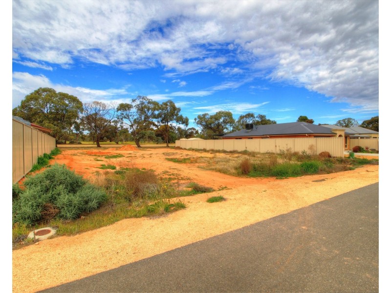 206 Nookamka Terrace, Barmera SA 5345